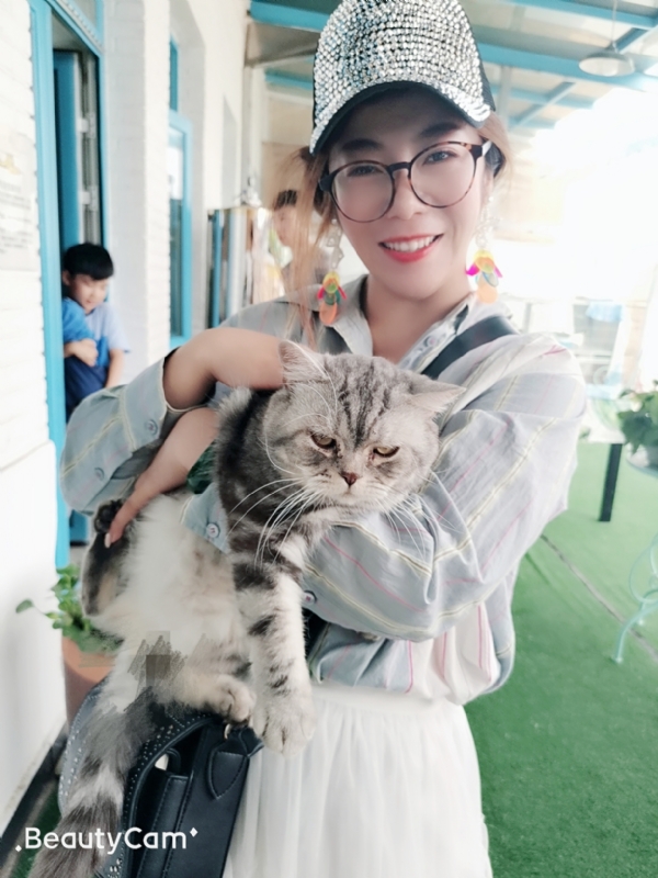 小黑猫的第一张照片--松溪相亲网