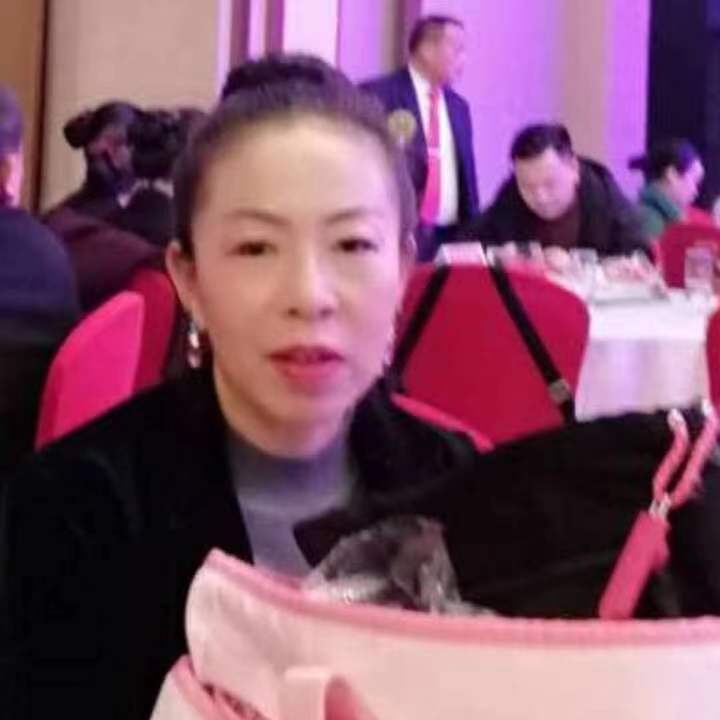 中秋桂花玉兔的第四张照片--松溪相亲网