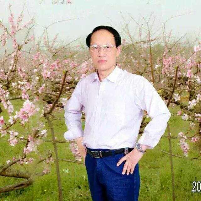 枫叶的第一张照片--松溪相亲网